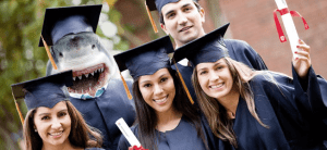 d7e9531ebc51d2720975f00da1eceee1