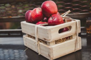 11875091_953385451374094_4215342330563186493_o